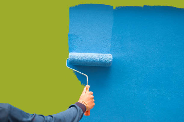 Best Mold Damage Restoration  in Aledo, TX